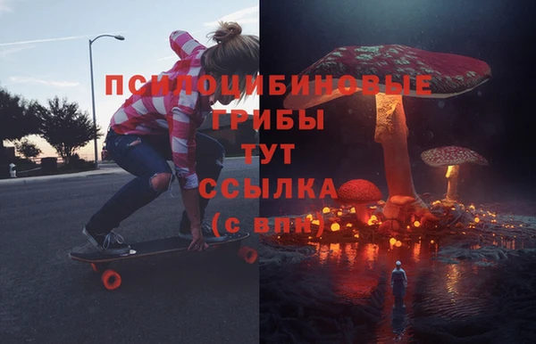 бутират Алексин