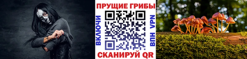 цена наркотик  Зеленокумск  Галлюциногенные грибы Magic Shrooms 