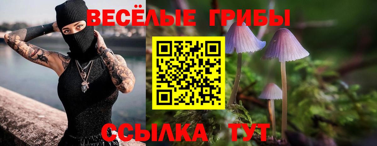 Галлюциногенные грибы Psilocybine cubensis Зеленокумск