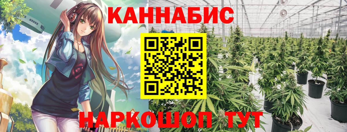 Бошки Шишки THC 21% Зеленокумск